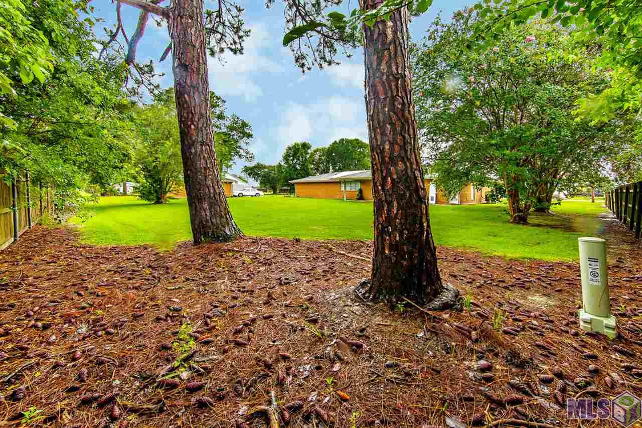 119 St Peter Street Raceland, LA 70394 - Photo 12 of 12