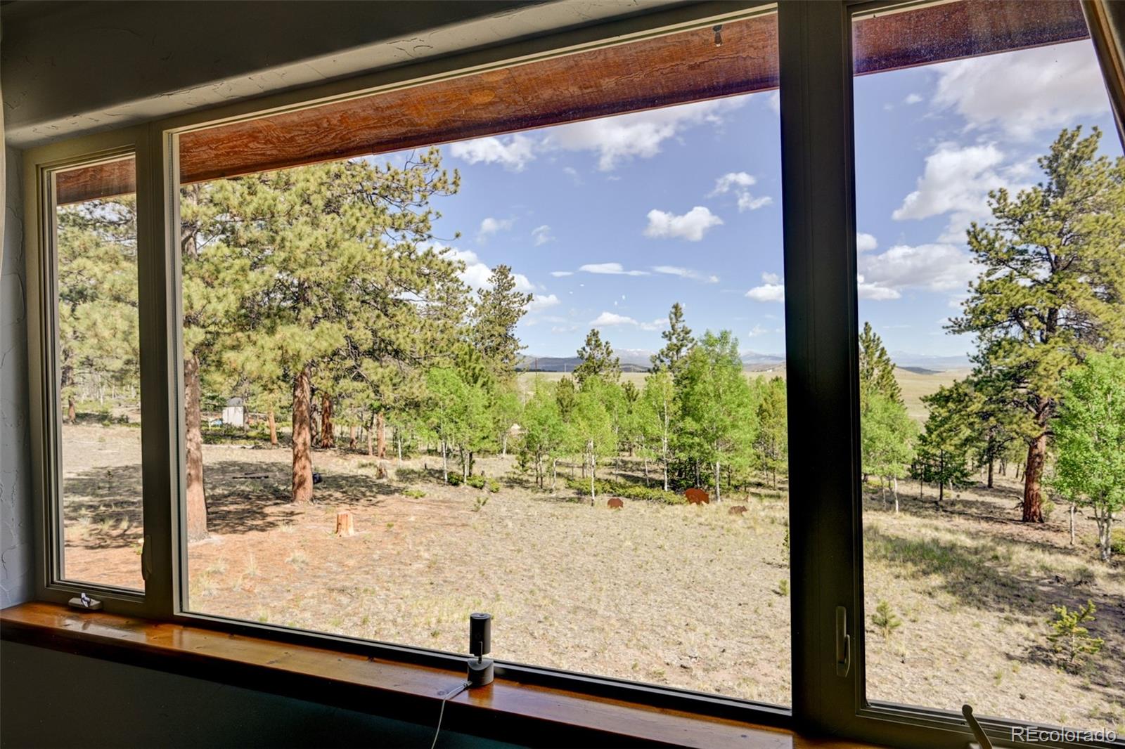 730 Lariat Loop Hartsel, CO 80449 - Photo 11 of 50