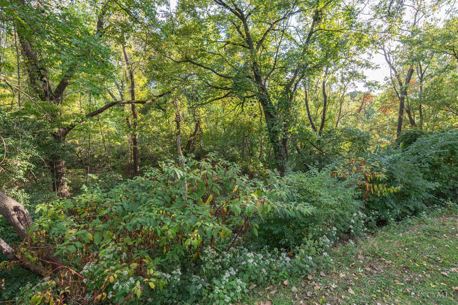 2361 East Galbraith Road Reading, OH 45237 - Photo 29 of 39