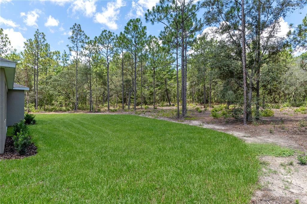 5188 North Cliff Drive Beverly Hills, FL 34465 - Photo 48 of 49