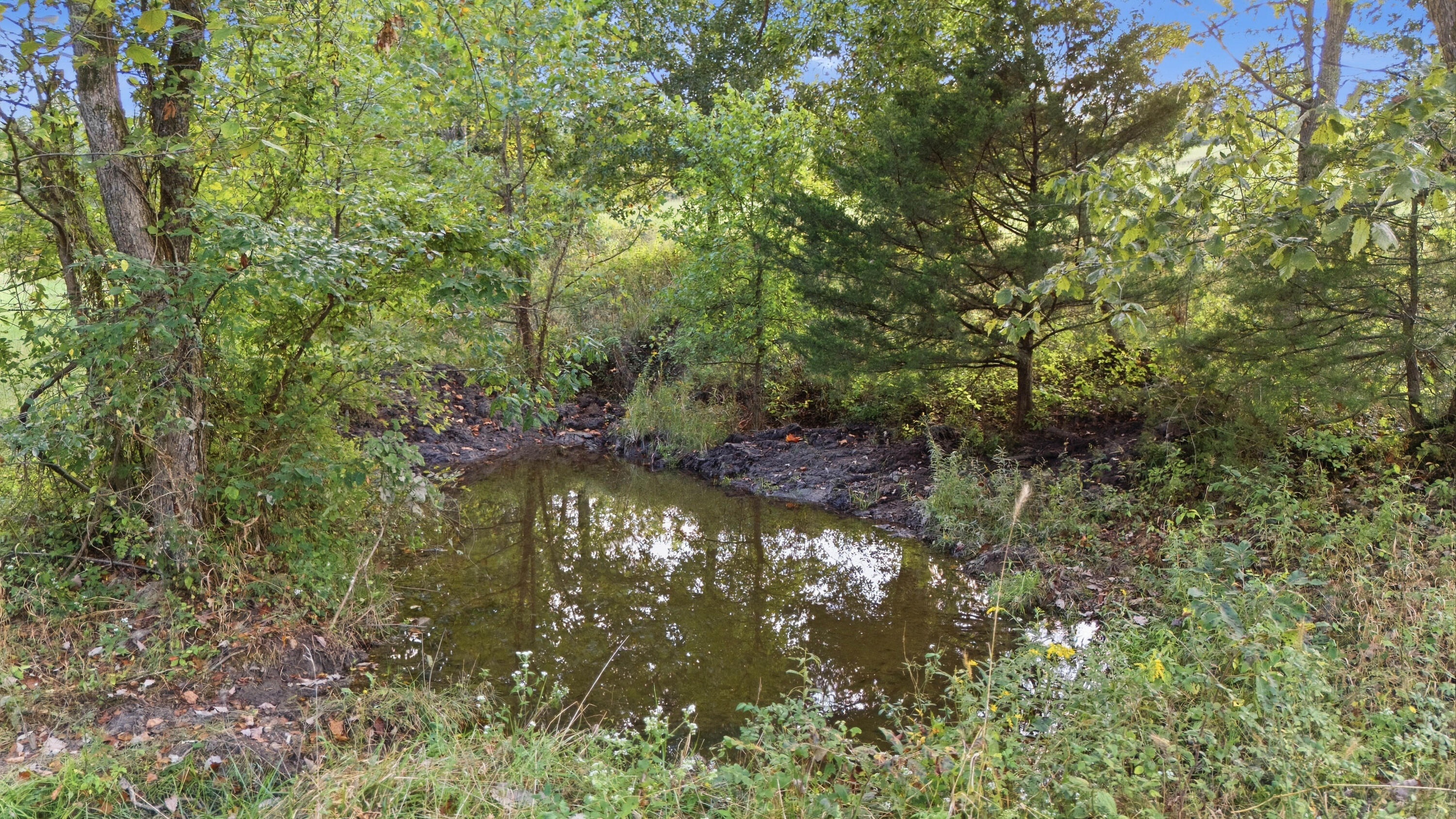 977 State Rte 137 Willow Springs, MO 65793 - Photo 68 of 86 977_State_Route_137_Willow_Springs_071