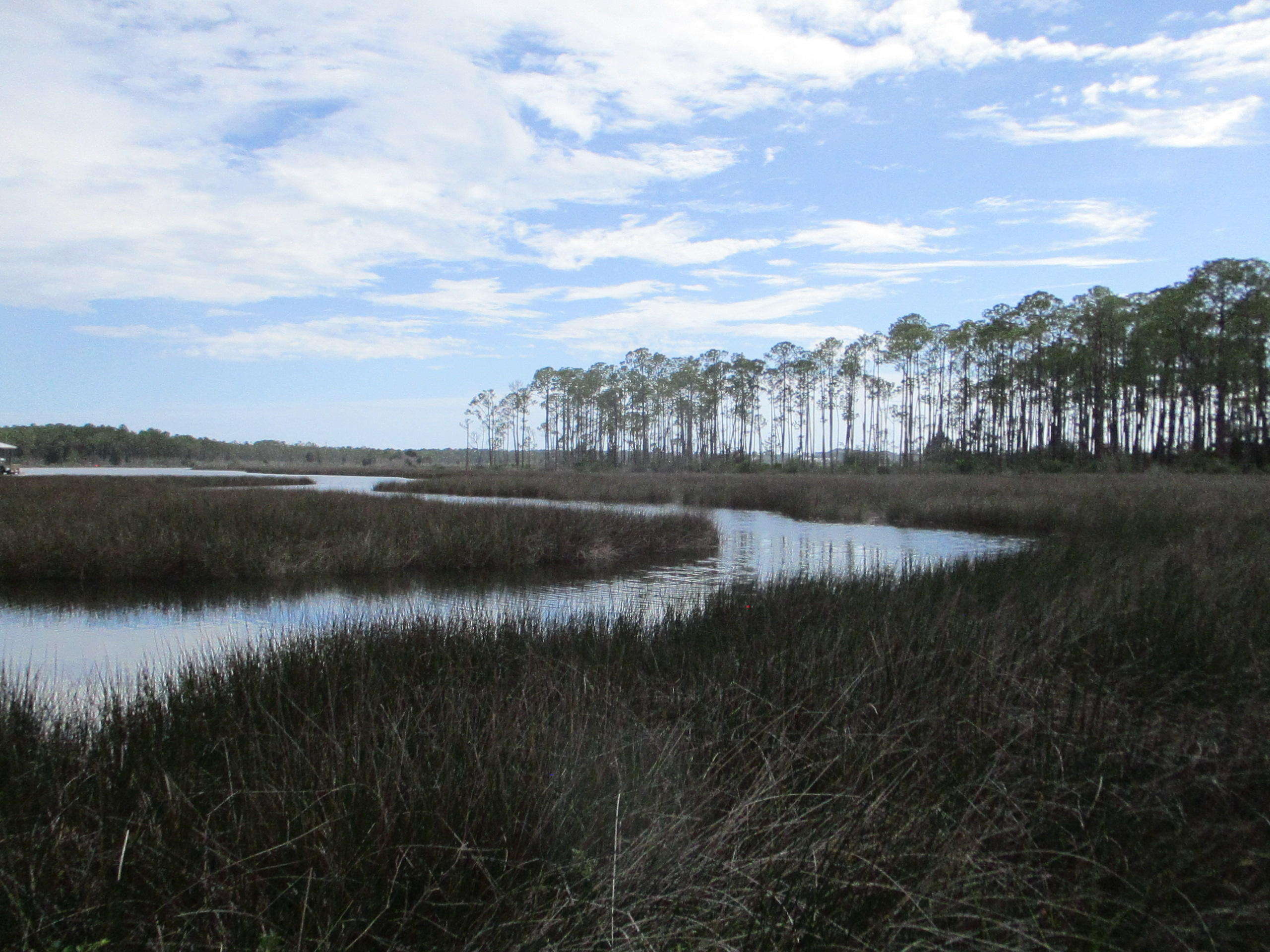 Lot 13 West Nursery Road Santa Rosa Beach, FL 32459 - Photo 3 of 23 a view of outdoor space and lake view