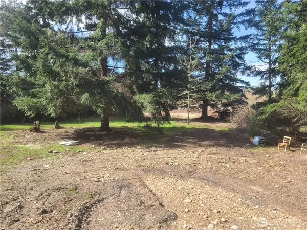 a view of a yard with a tree