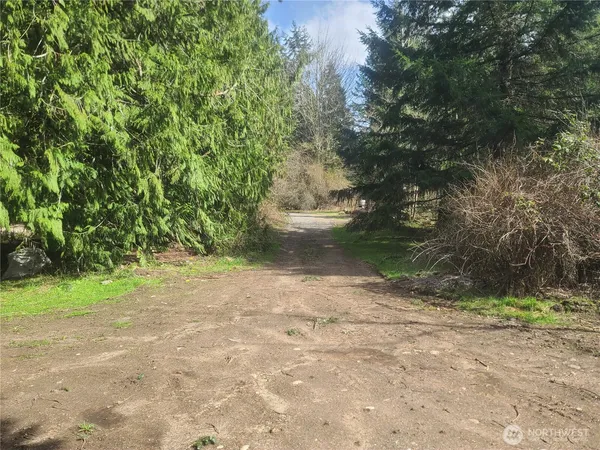 a view of a park with a tree
