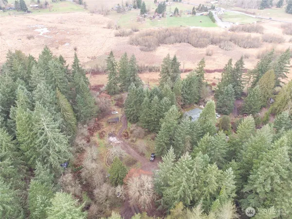 a view of a city with lush green forest
