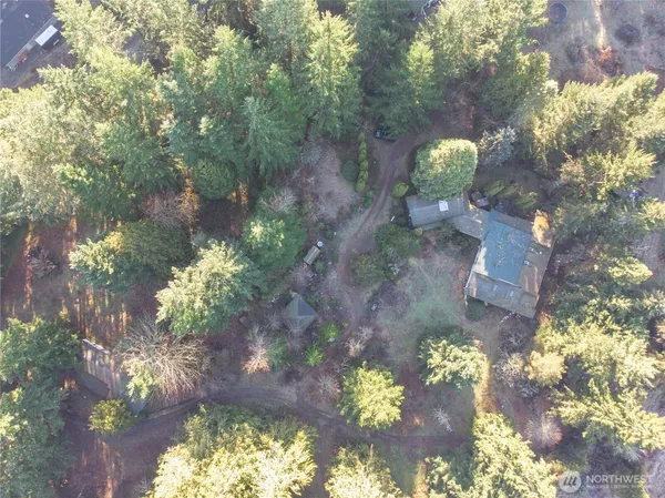 a view of a tree with a yard