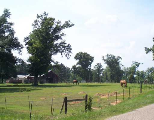 0 Ben Riley Road Franklinton, LA 70438 - Photo 3 of 8 Gallery Image 3