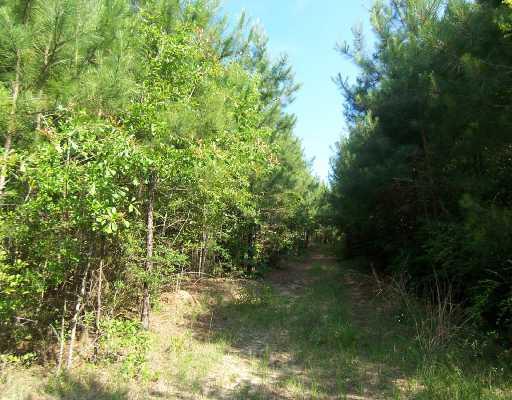 0 Ben Riley Road Franklinton, LA 70438 - Photo 8 of 8 Gallery Image 8