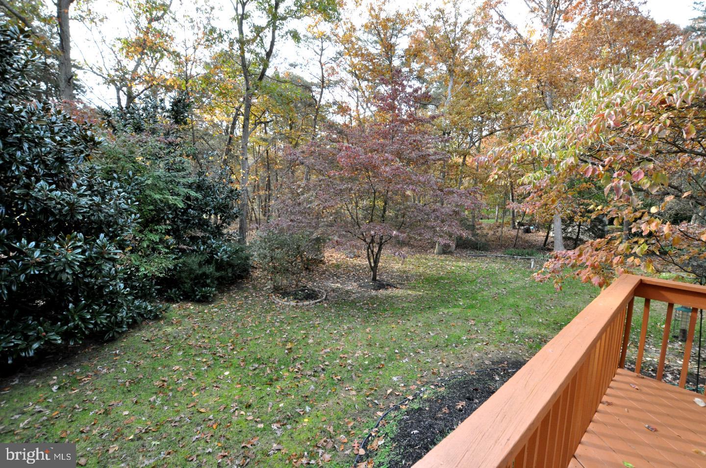 850 McKendimen Road Shamong, NJ 08088 - Photo 12 of 32 Peaceful Views