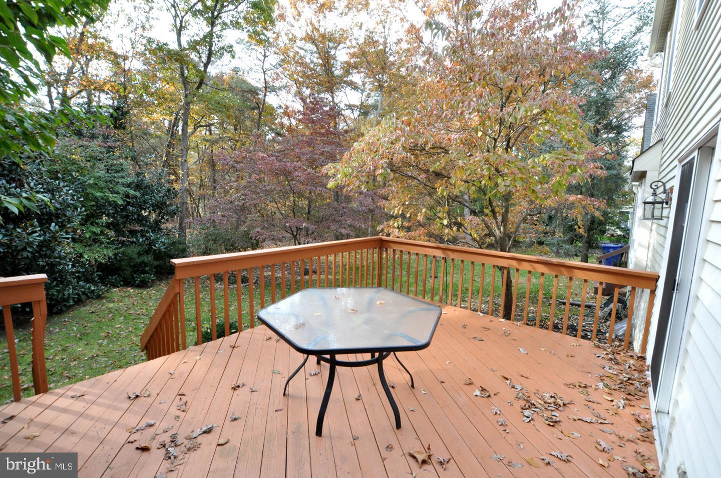 850 McKendimen Road Shamong, NJ 08088 - Photo 13 of 32 Rear Deck