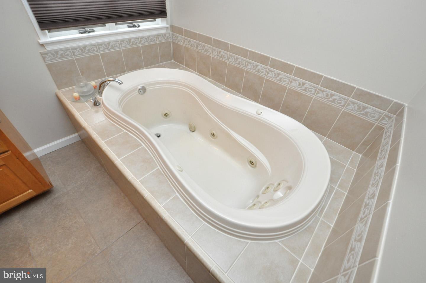 850 McKendimen Road Shamong, NJ 08088 - Photo 23 of 32 Soaking Jetted Tub in Pain bath