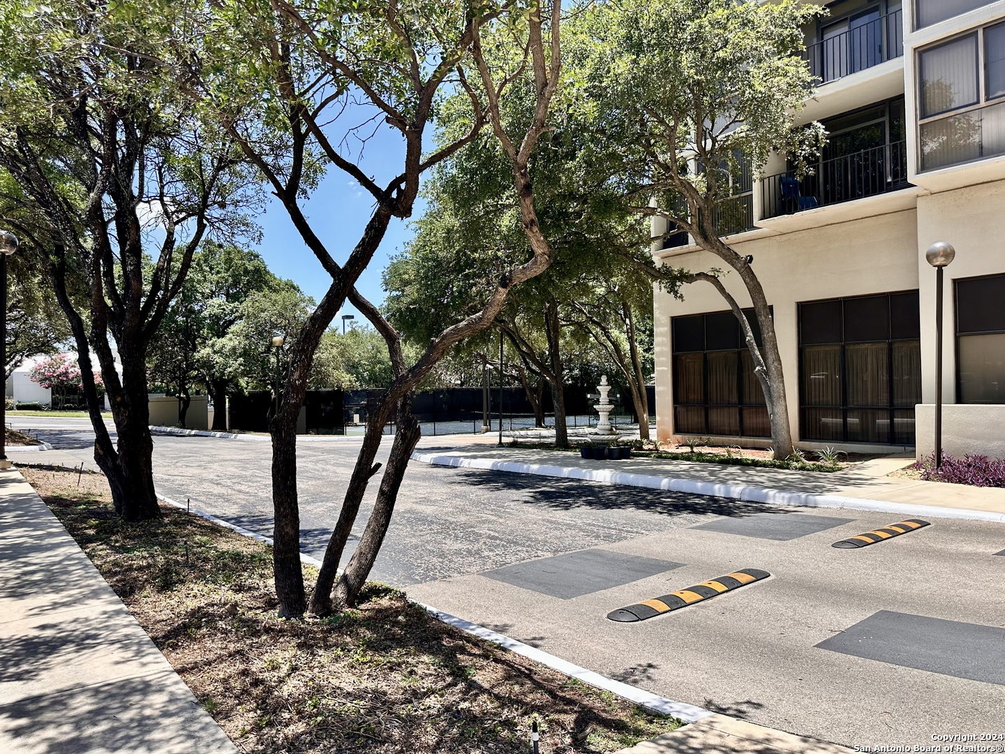 7701 Wurzbach Road, Unit 2301 San Antonio, TX 78229 - Photo 35 of 36 a view of a street that has a tree