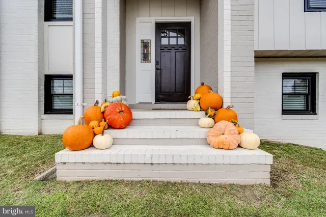 a bathroom with a shower and a mirror