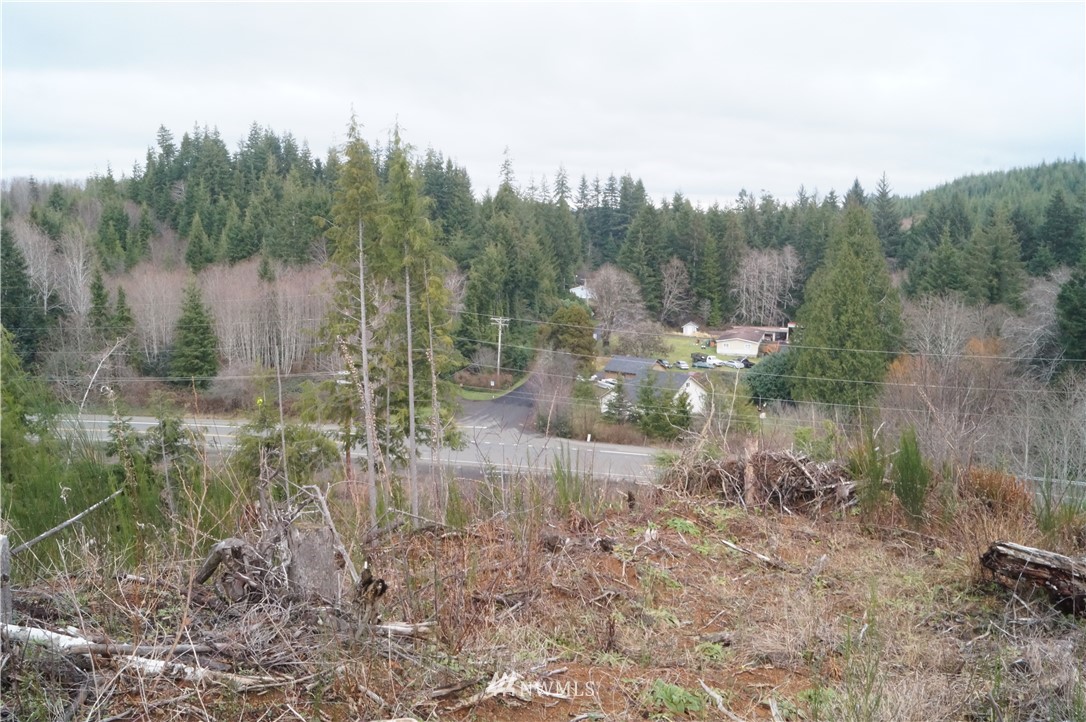 439 Ocean Beach Road Hoquiam, WA 98550 - Photo 10 of 22 Gallery Image 10
