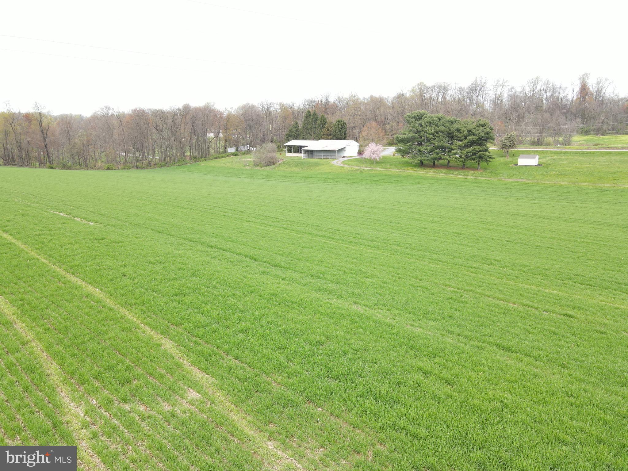 1323 Keener Road Bainbridge, PA 17502 - Photo 85 of 105 Gallery Image 85