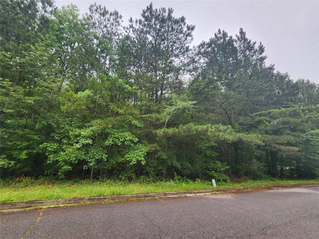 718 Derek Place Locust Grove, GA 30248 - Photo 2 of 4 a view of a road with a yard
