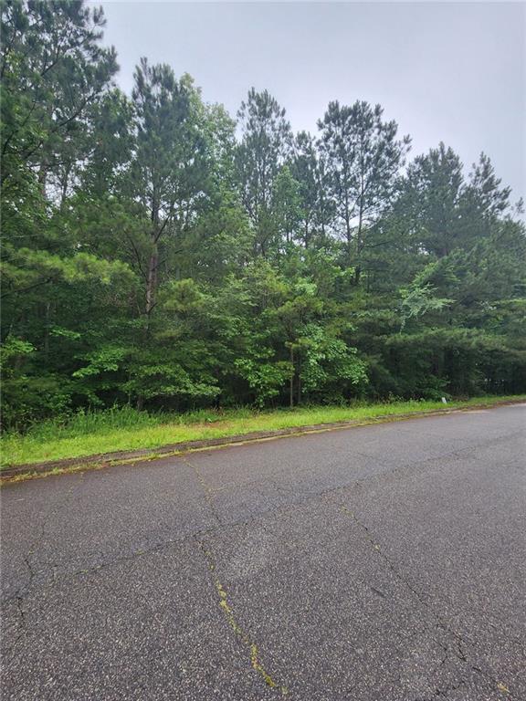 718 Derek Place Locust Grove, GA 30248 - Photo 3 of 4 a view of outdoor space and yard
