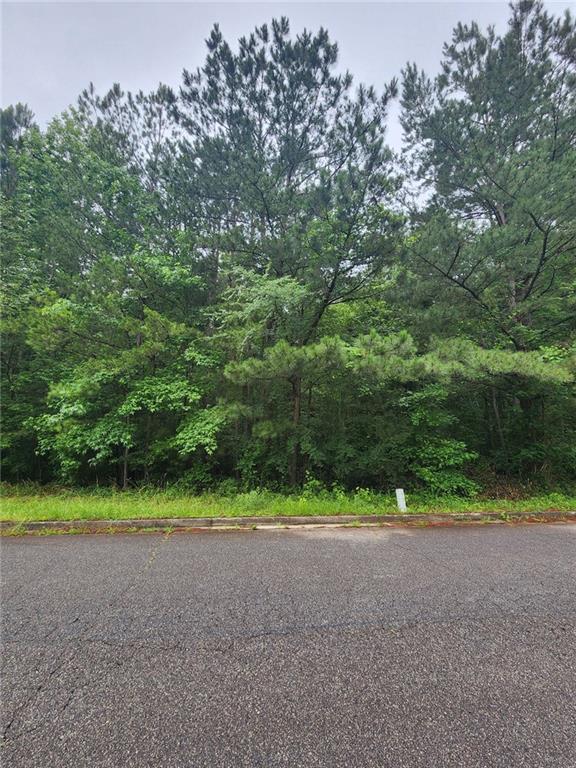 718 Derek Place Locust Grove, GA 30248 - Photo 4 of 4 a view of outdoor space and yard