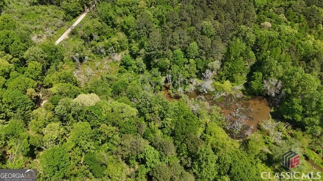 0 Moore Road Elberton, GA 30635 - Photo 32 of 67
