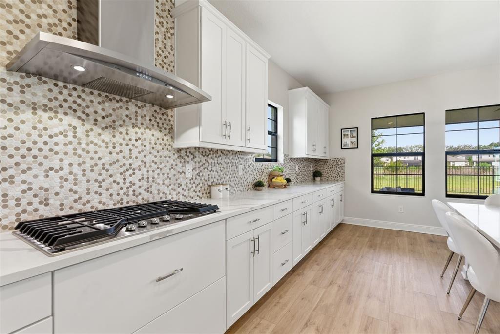 12962 Steed Trce Loop Lithia, FL 33547 - Photo 12 of 61