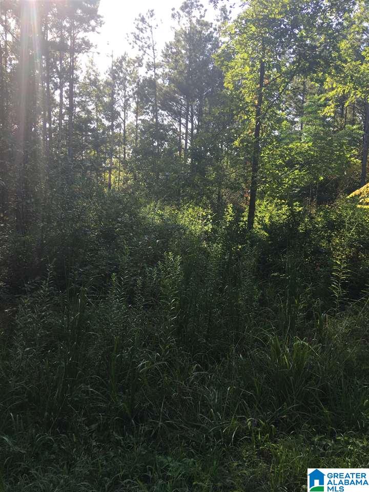 9686 Garrett Road, Unit 3 17 Warrior, AL 35180 - Photo 3 of 5