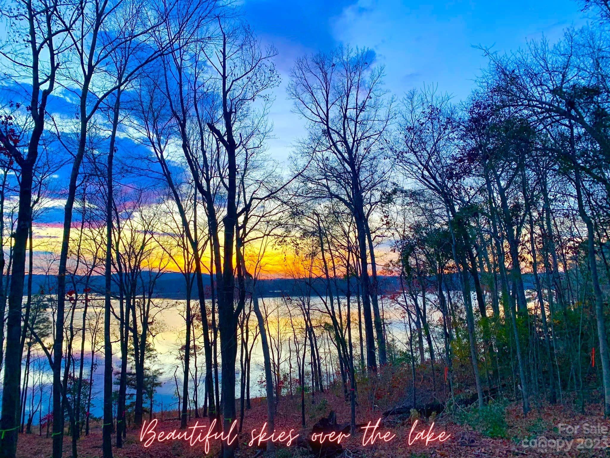 Lot 79 Lakeview Pass, Unit 79 Rockingham, NC 28379 - Photo 5 of 14 a view of outdoor space with a garden