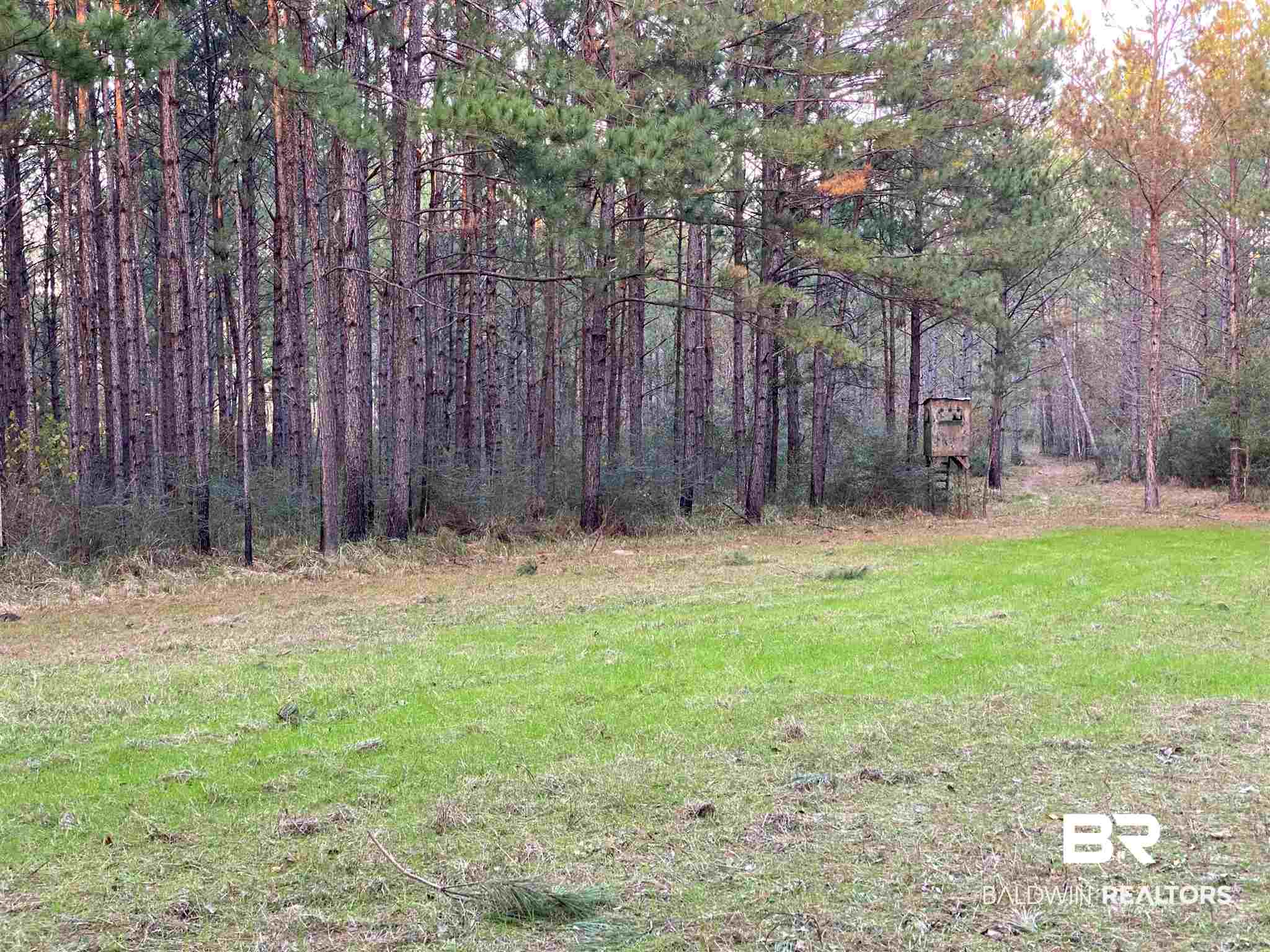 0 Country Road Fruitdale, AL 36539 - Photo 44 of 47
