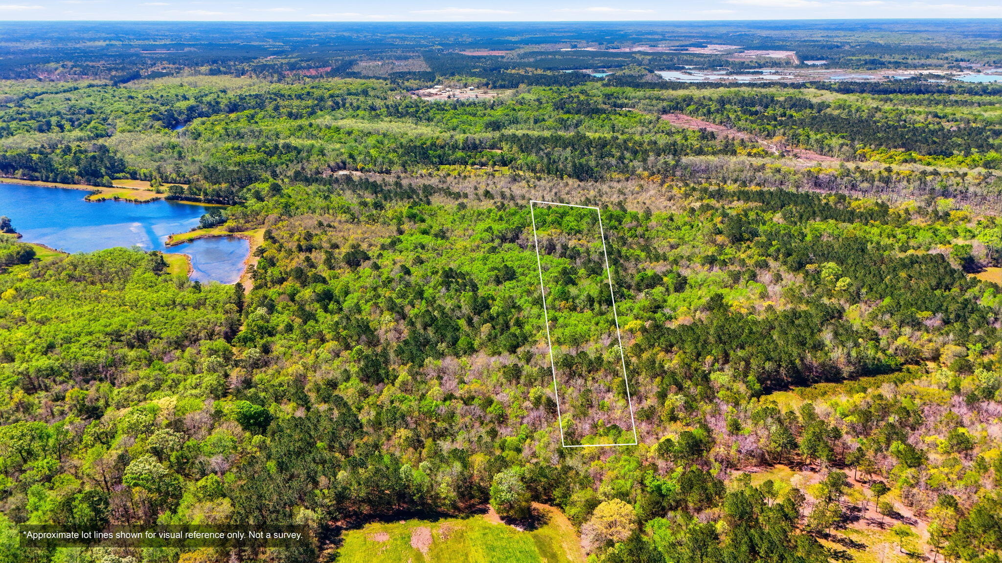 0 Old Beech Hill Road Ridgeville, SC 29472 - Photo 2 of 10 Aerial View