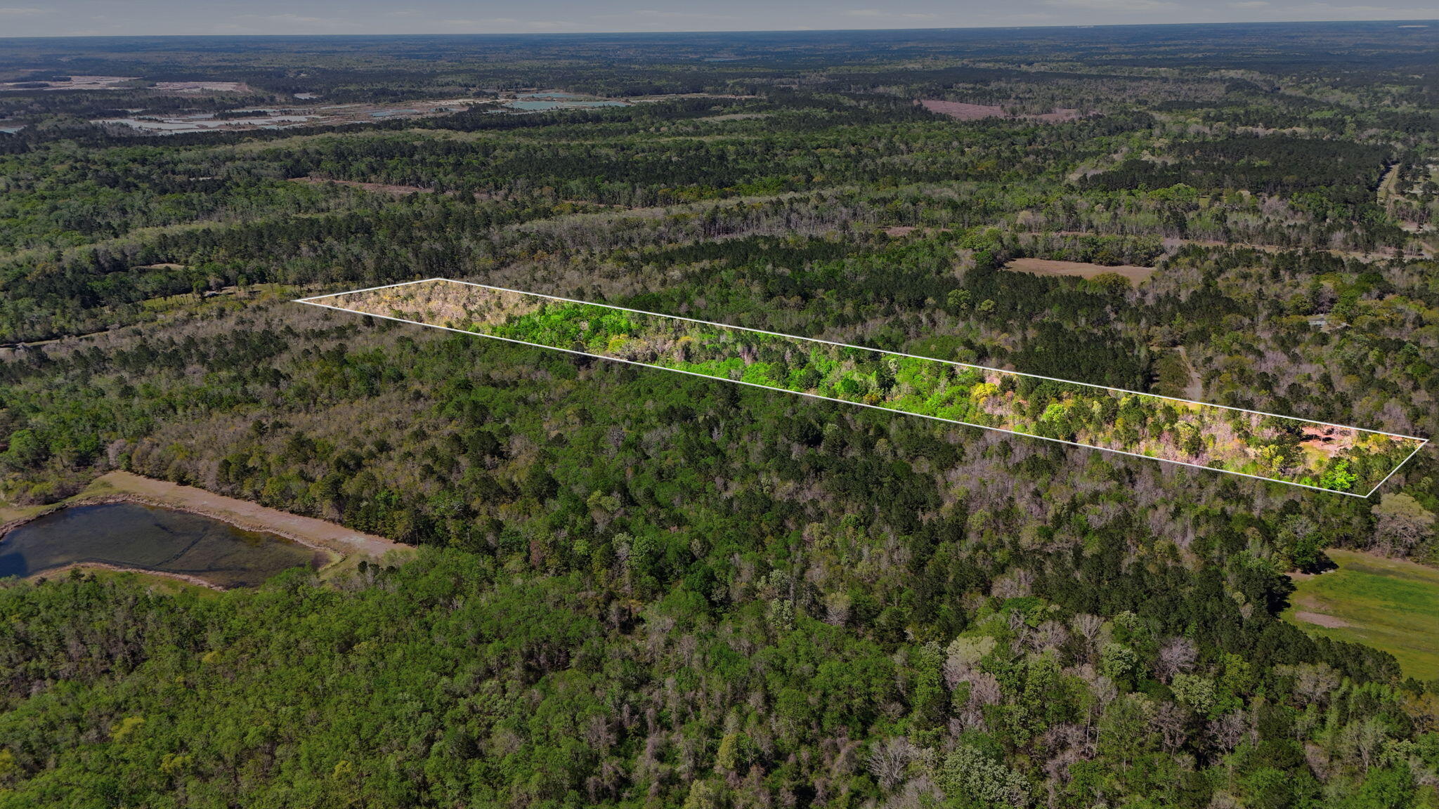 0 Old Beech Hill Road Ridgeville, SC 29472 - Photo 4 of 10 3-web-or-mls-006_DJI_20260328150047_0017