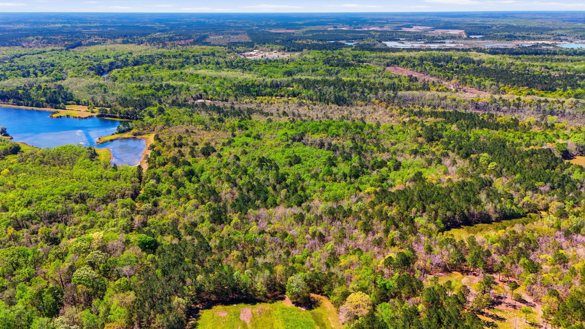 0 Old Beech Hill Road Ridgeville, SC 29472 - Photo 6 of 10 Aerial View