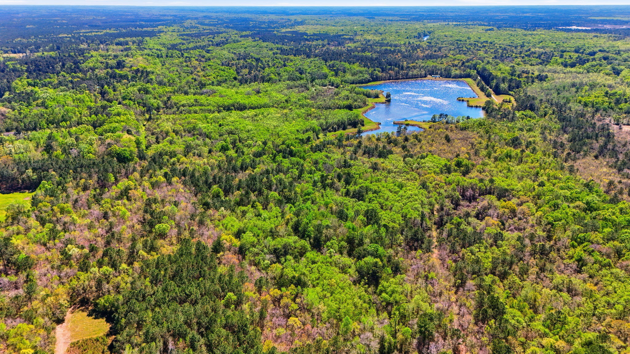 0 Old Beech Hill Road Ridgeville, SC 29472 - Photo 7 of 10 Aerial View