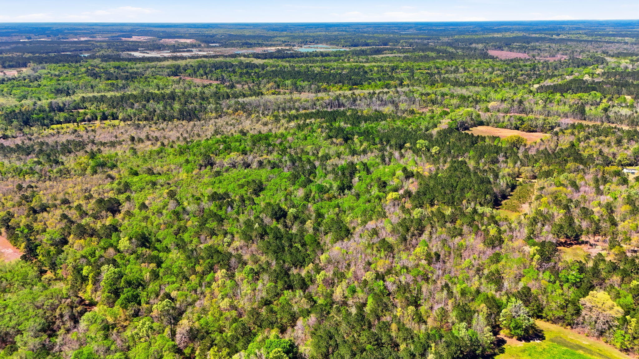 0 Old Beech Hill Road Ridgeville, SC 29472 - Photo 9 of 10 Aerial View
