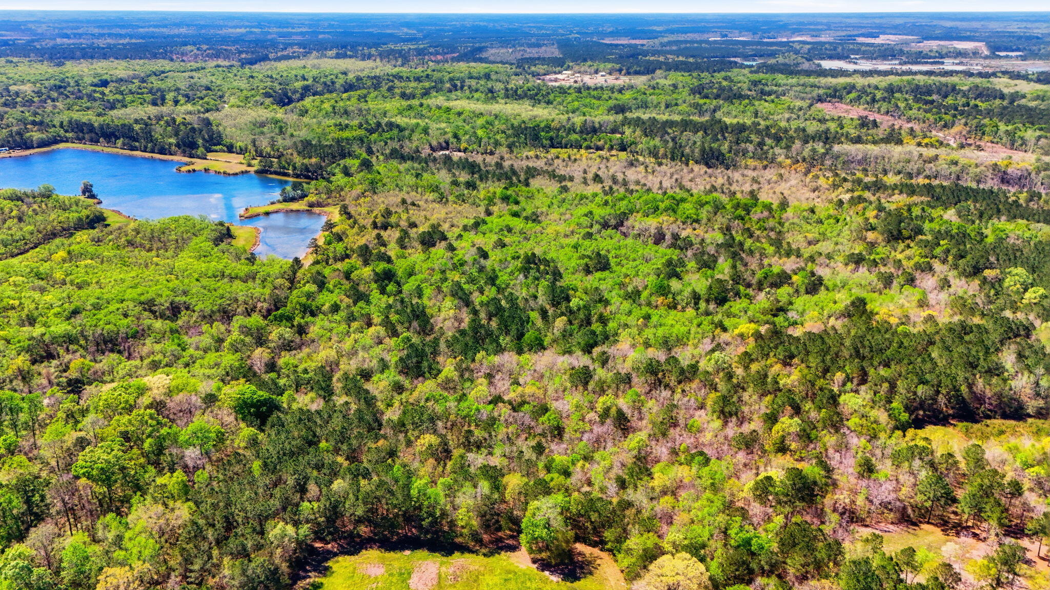 0 Old Beech Hill Road Ridgeville, SC 29472 - Photo 10 of 10 Aerial View