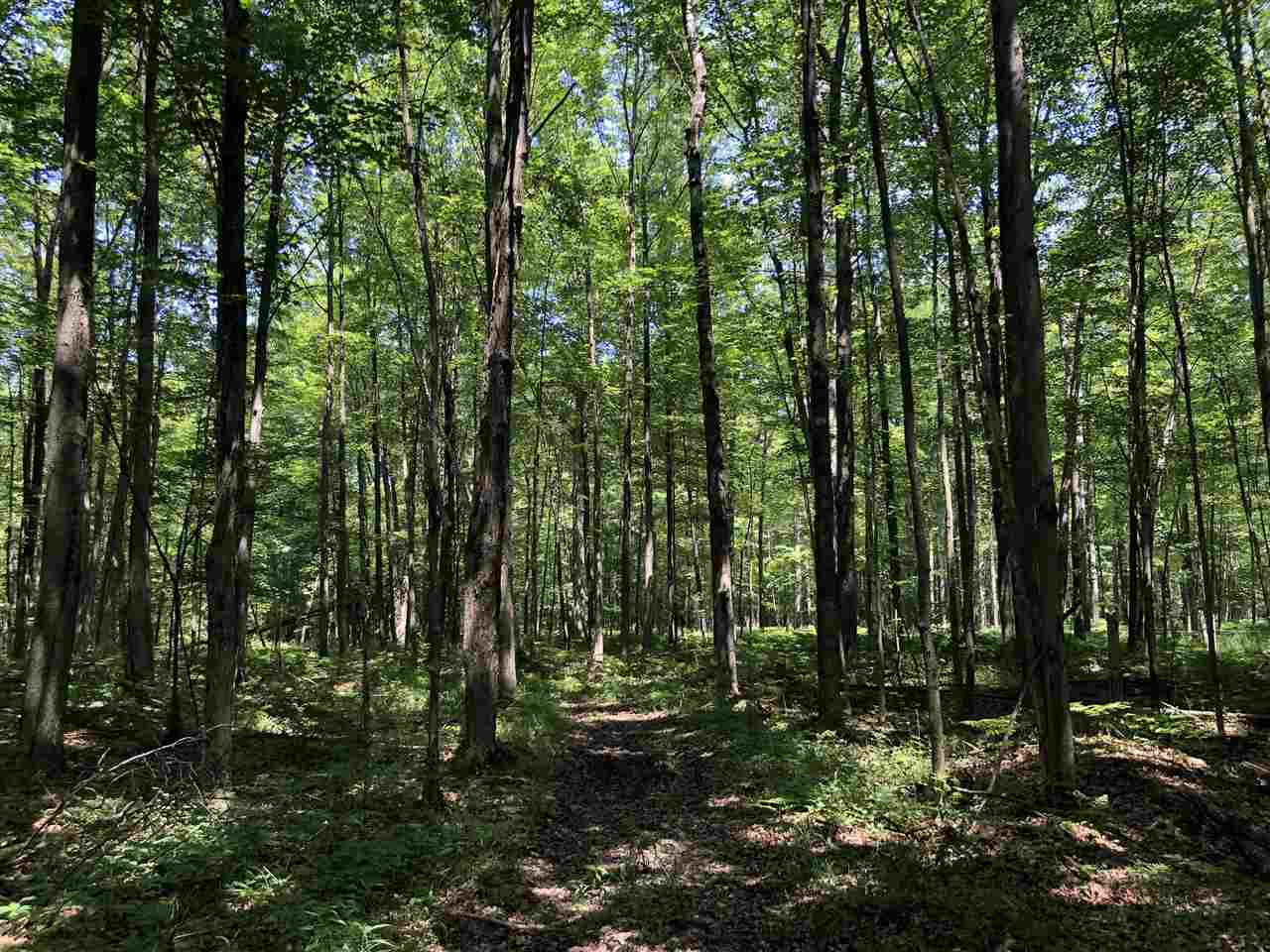 4582 West Baker Road Coleman, MI 48618 - Photo 40 of 43