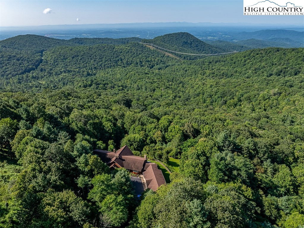 148 Chestnut Ridge Lane Glade Valley, NC 28627 - Photo 46 of 50 an aerial view of a house with a yard