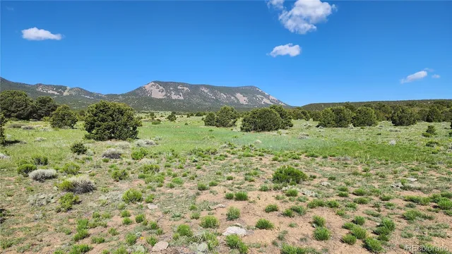 $97,500 | 60 Colorado Land & Grazing, Gardner, CO 81040
