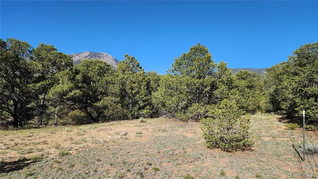 $97,500 | 60 Colorado Land & Grazing, Gardner, CO 81040