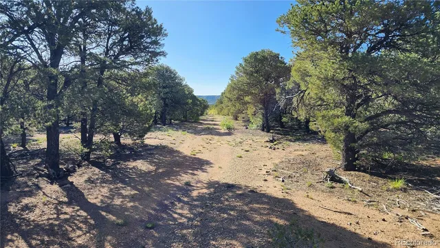$97,500 | 60 Colorado Land & Grazing, Gardner, CO 81040