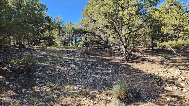 $97,500 | 60 Colorado Land & Grazing, Gardner, CO 81040