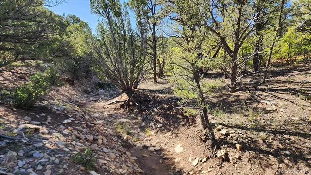 $97,500 | 60 Colorado Land & Grazing, Gardner, CO 81040