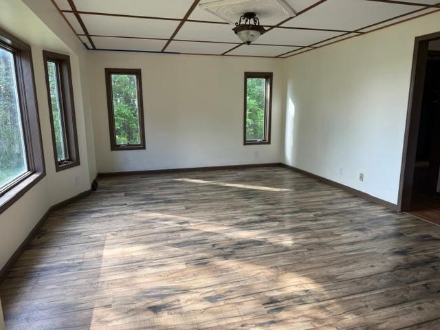 10097 Southwest 72nd Avenue Ellendale, MN 56026 - Photo 3 of 9