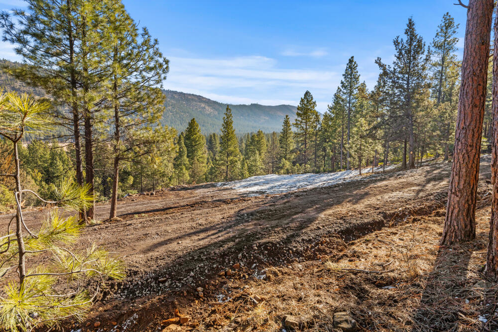 0 Simpson Canyon Road, Unit 15 Klamath Falls, OR 97601 - Photo 21 of 37 a view of a yard with trees