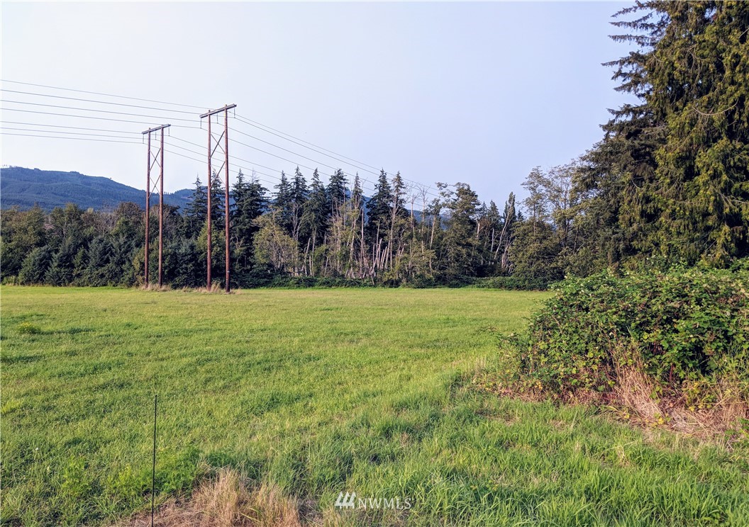 0 Hamilton Cemetery Road Hamilton, WA 98255 - Photo 3 of 11 Gallery Image 3