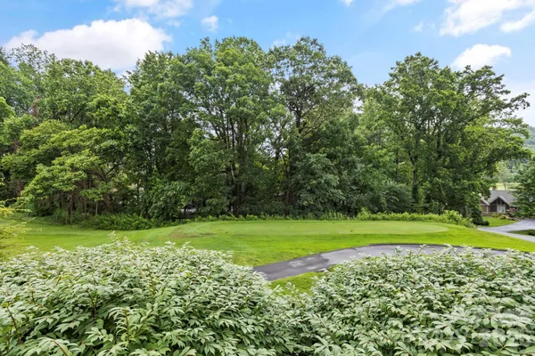 a view of a grassy field with trees