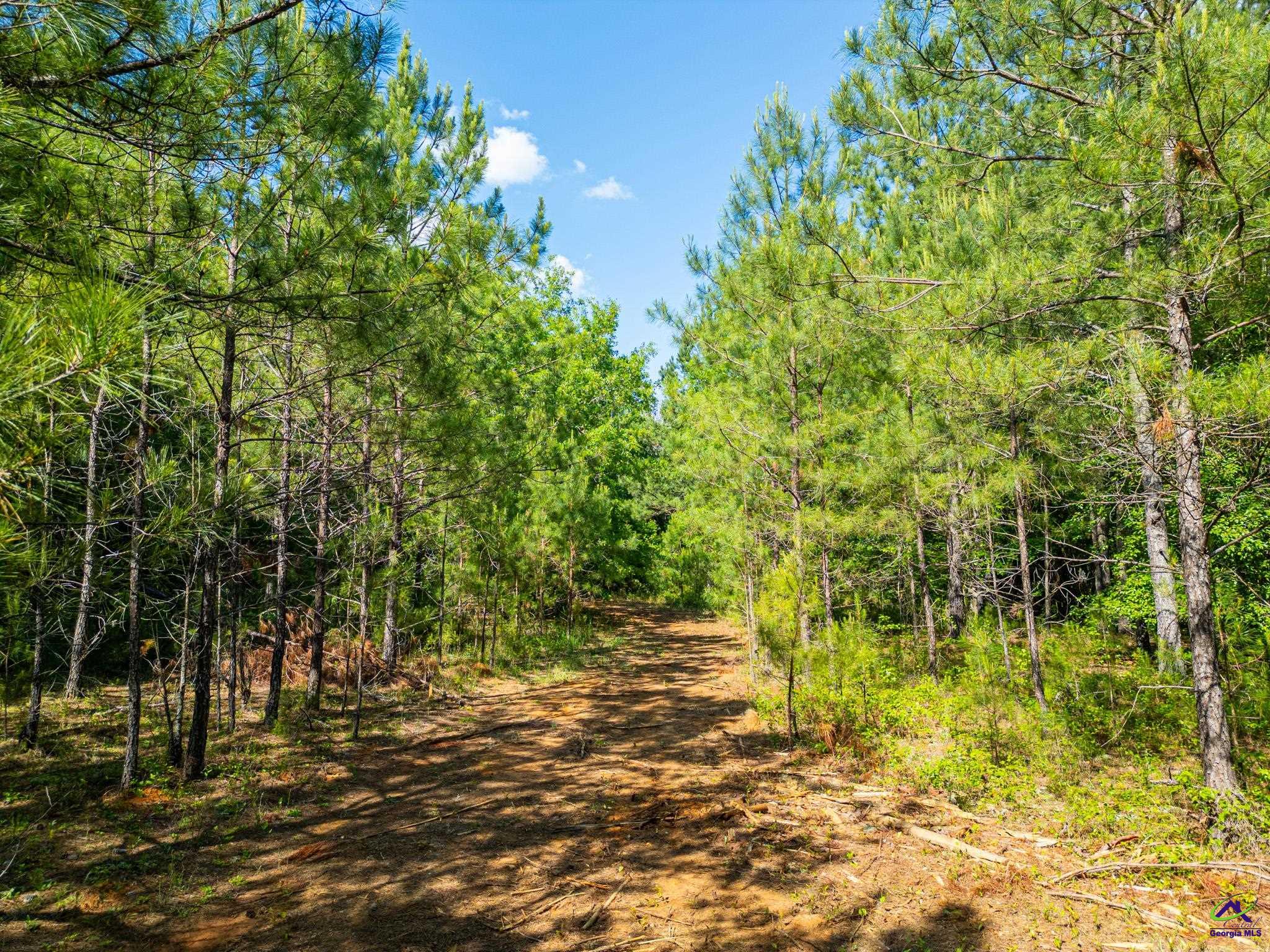 915 Sunhill Road Sandersville, GA 31082 - Photo 7 of 24