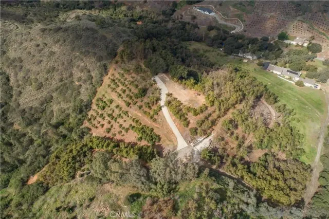 a close up of a flower in a garden