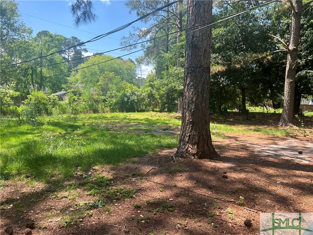 137 Greene Drive Rincon, GA 31326 - Photo 10 of 10