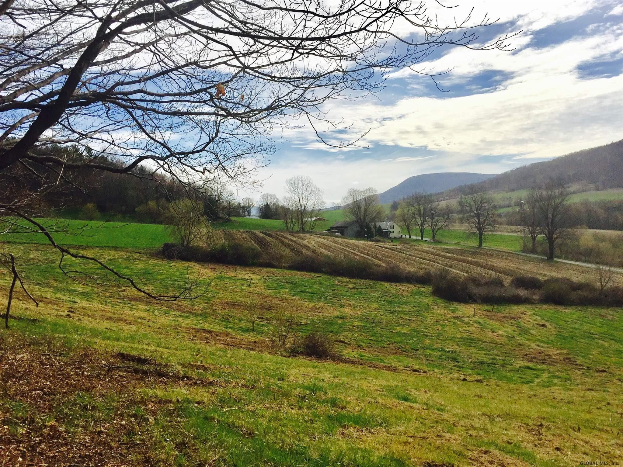 0 Breese Hollow Road Hoosick, NY 12089 - Photo 1 of 7 Photo 1
