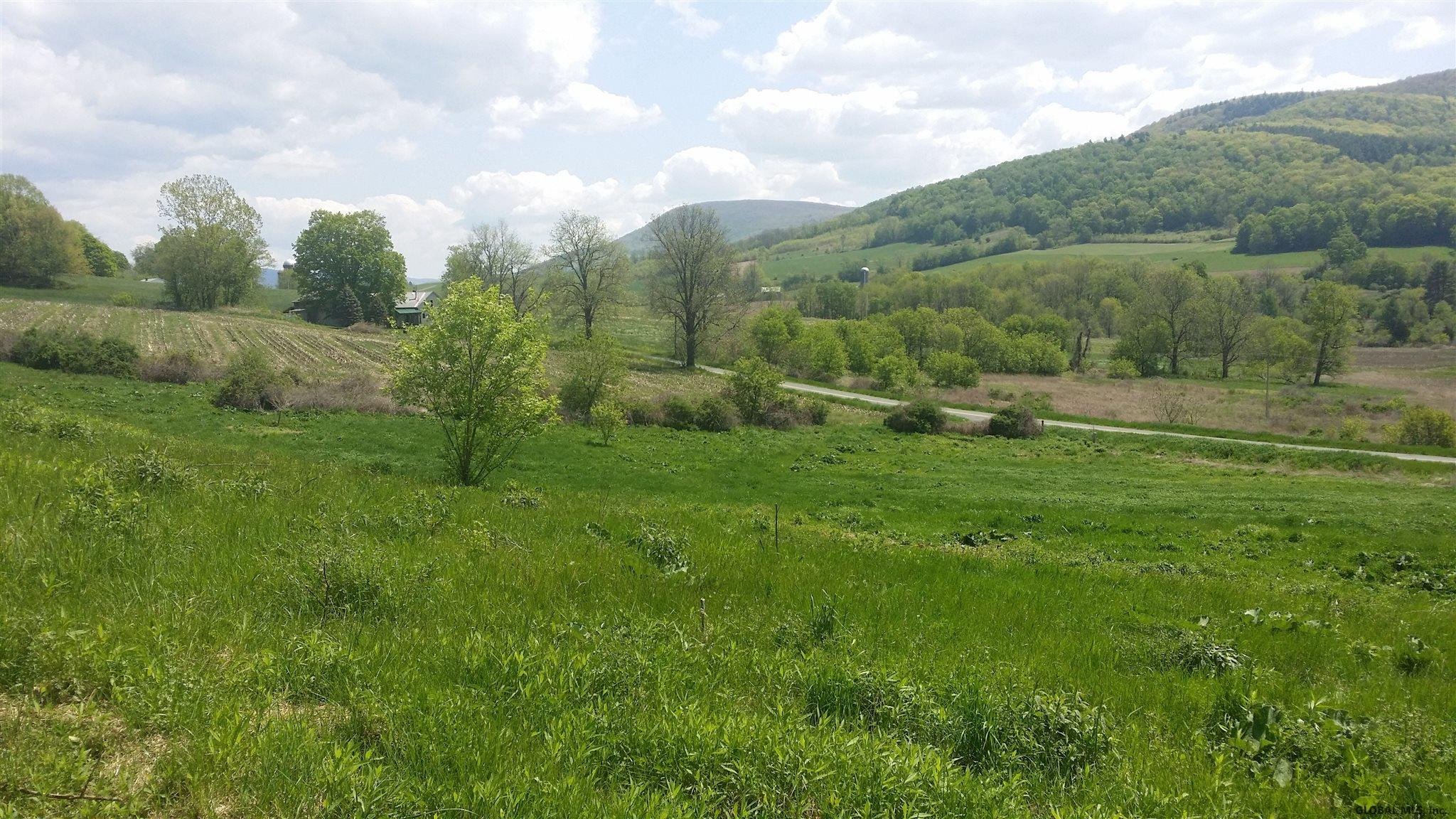 0 Breese Hollow Road Hoosick, NY 12089 - Photo 3 of 7 Photo 3