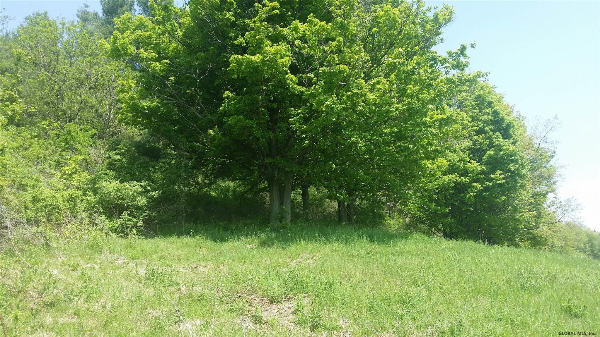 0 Breese Hollow Road Hoosick, NY 12089 - Photo 5 of 7 Photo 5